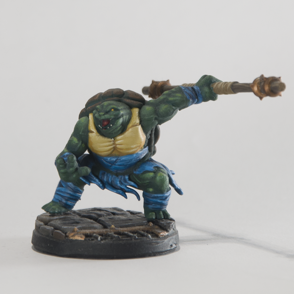 TurtlefolkFighter